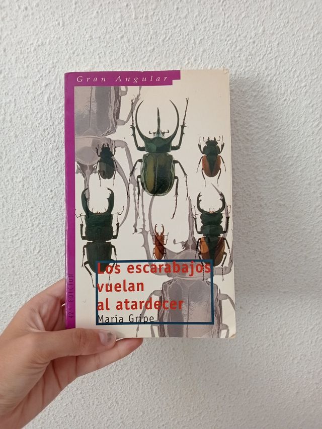 Libro Los escarabajos vuelan al atardecer