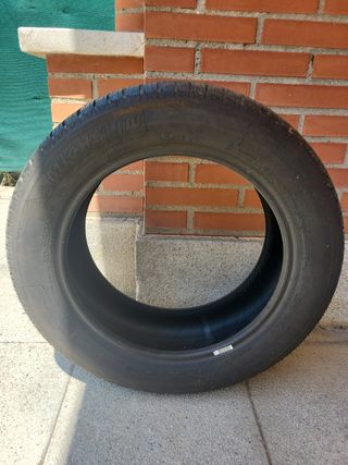 Neumaticos 
