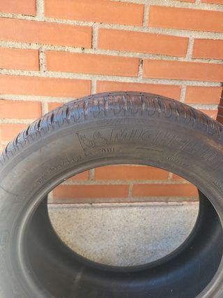 Neumaticos 