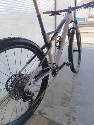 Orbea Oiz M- LTD 2024