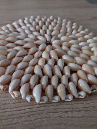 Sottopentola in conchiglia