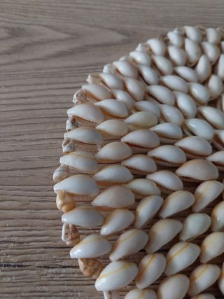 Sottopentola in conchiglia
