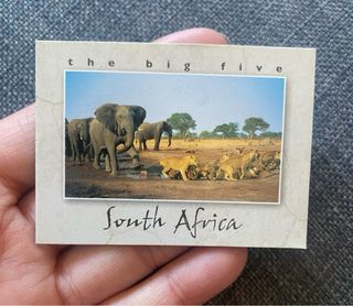 Lote 4 imanes nevera South Africa