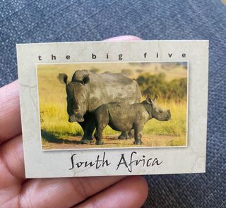 Lote 4 imanes nevera South Africa