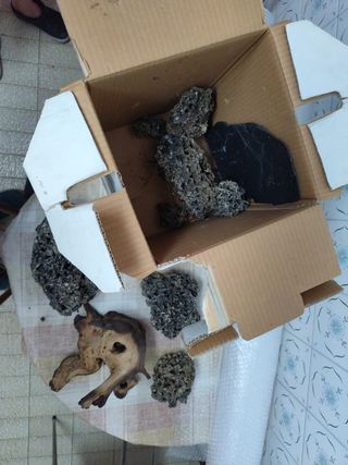 Accesorios pecera (pecera vendida)