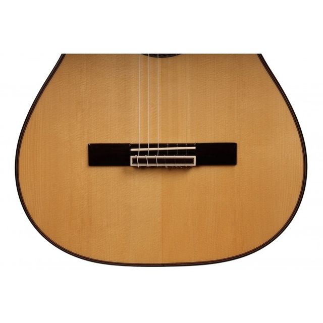 Guitarra Antonio de toledo AT250-S