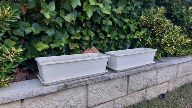 Macetas de plástico blancas.