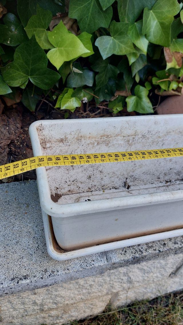 Macetas de plástico blancas.