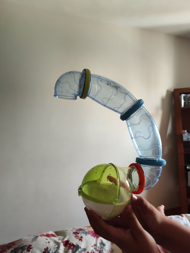 Accesorios jaula hámster 