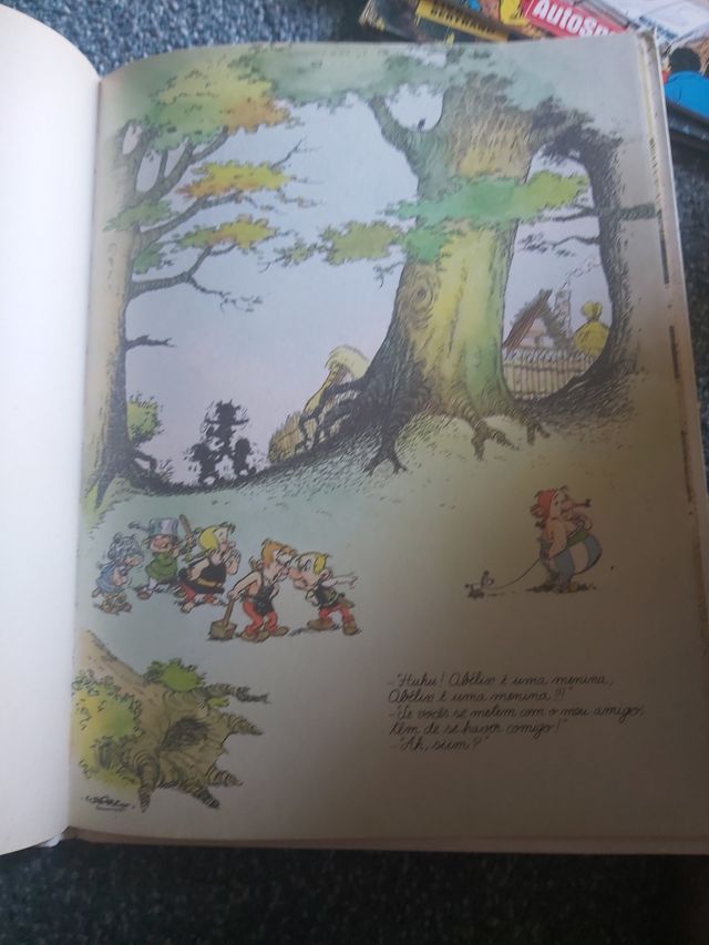 Livro Obelix de 1989