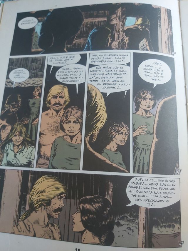 Livro de Simon du Fleuve de 1980