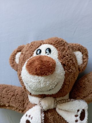 Orsacchiotto di peluche