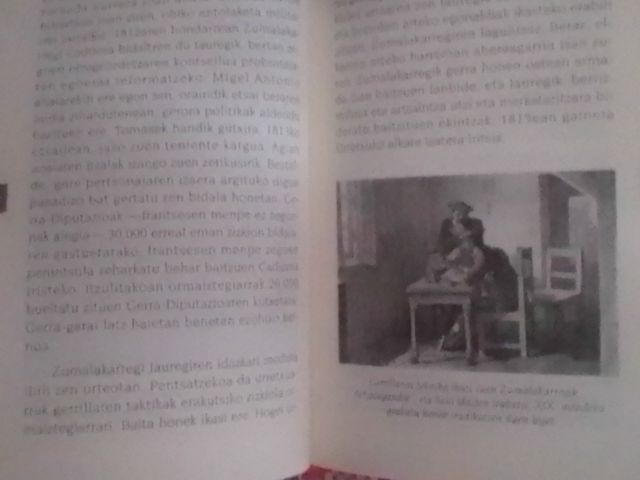 Biografía de Zumalacarregi 