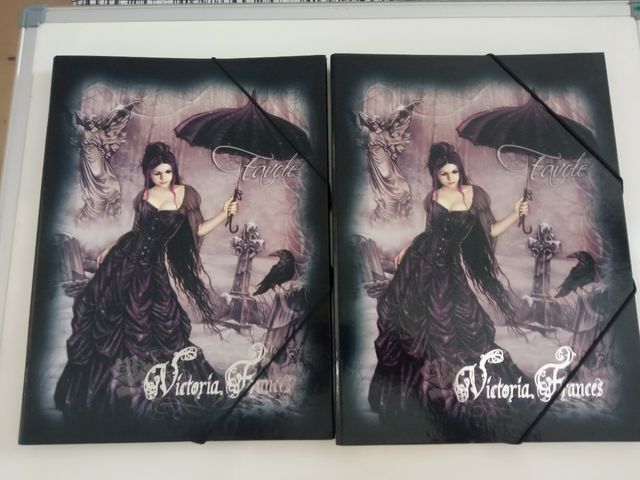 Portafolios Victoria Francés