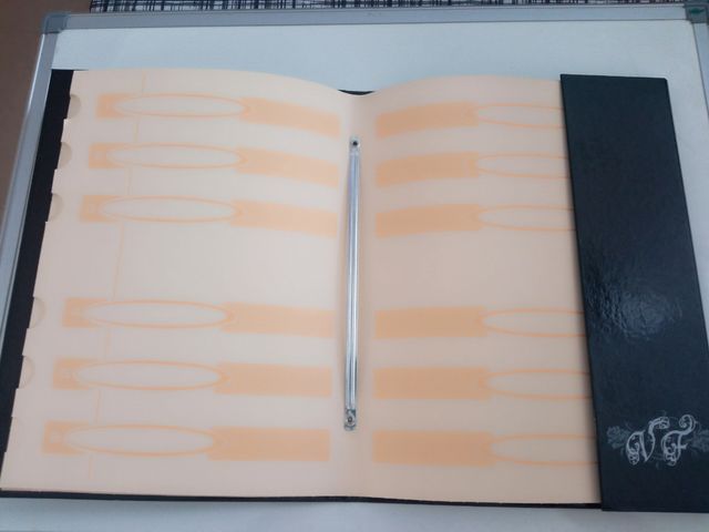 Portafolios Victoria Francés