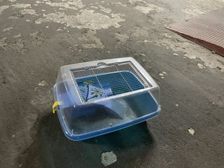 Acuario para tortugas