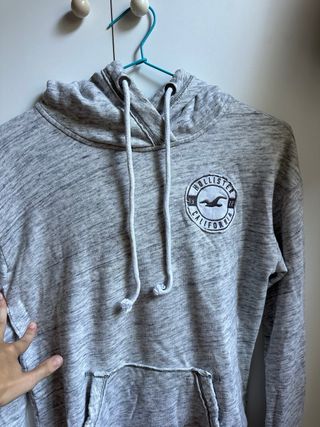 Sudadera Hollister
