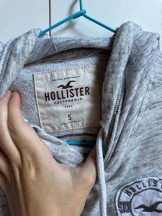 Sudadera Hollister