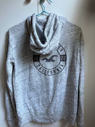 Sudadera Hollister