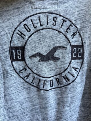 Sudadera Hollister