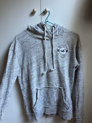 Sudadera Hollister