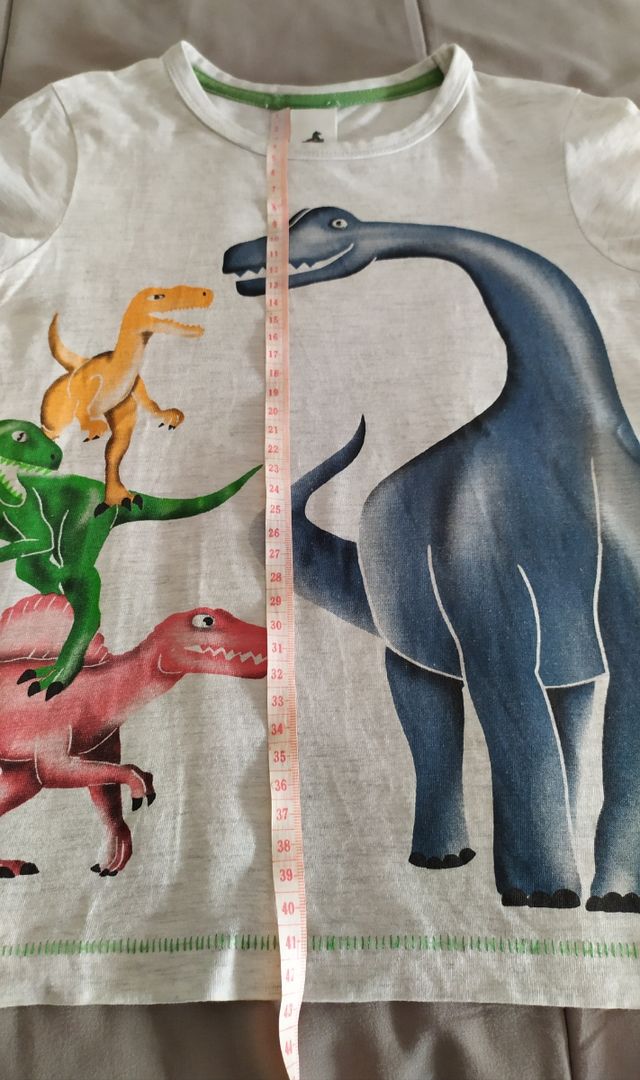 Camiseta niño m/c gris dinosaurios 122