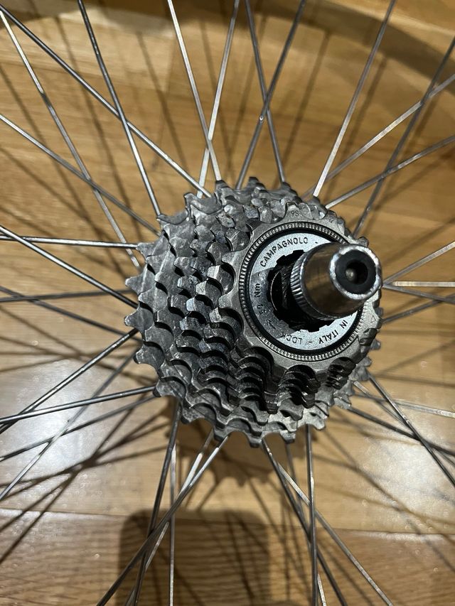 Campagnolo Record 29” buje y cassete Ruedas Mavic