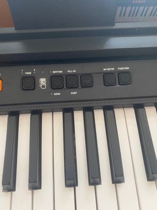 Teclado piano Casiotone CTS100
