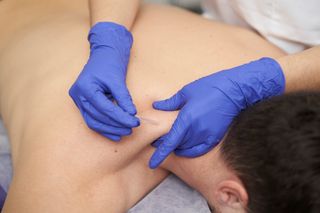 Fisioterapia, Fisioterapeuta 