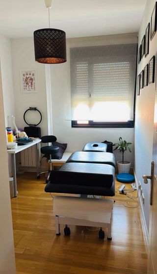 Fisioterapia, Fisioterapeuta 