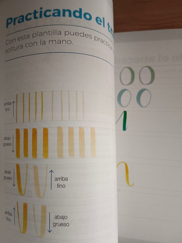 Libro caligrafía y lettering