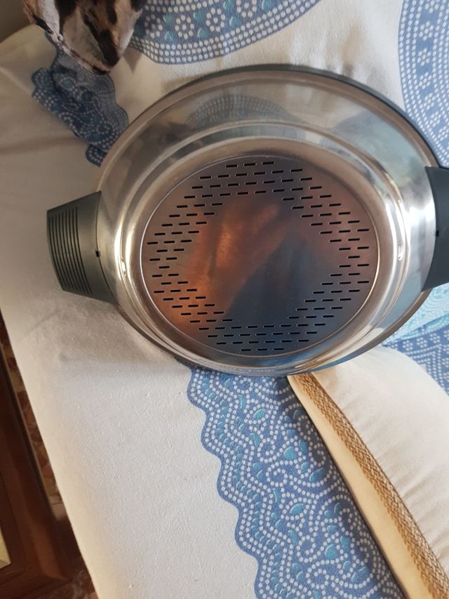 Varoma thermomix,TM 21