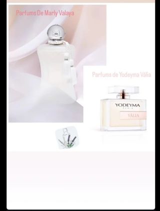 Perfumes 2025 Yodeyma