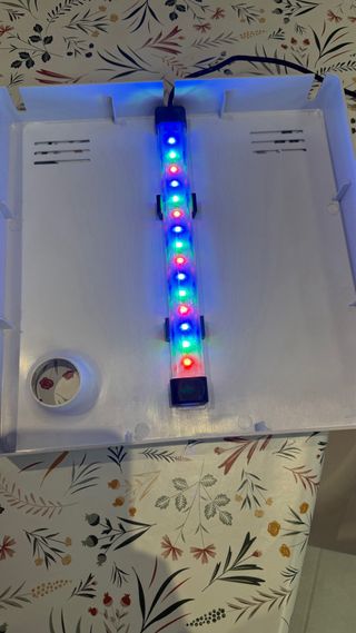 Acuario 20 litros  negociable