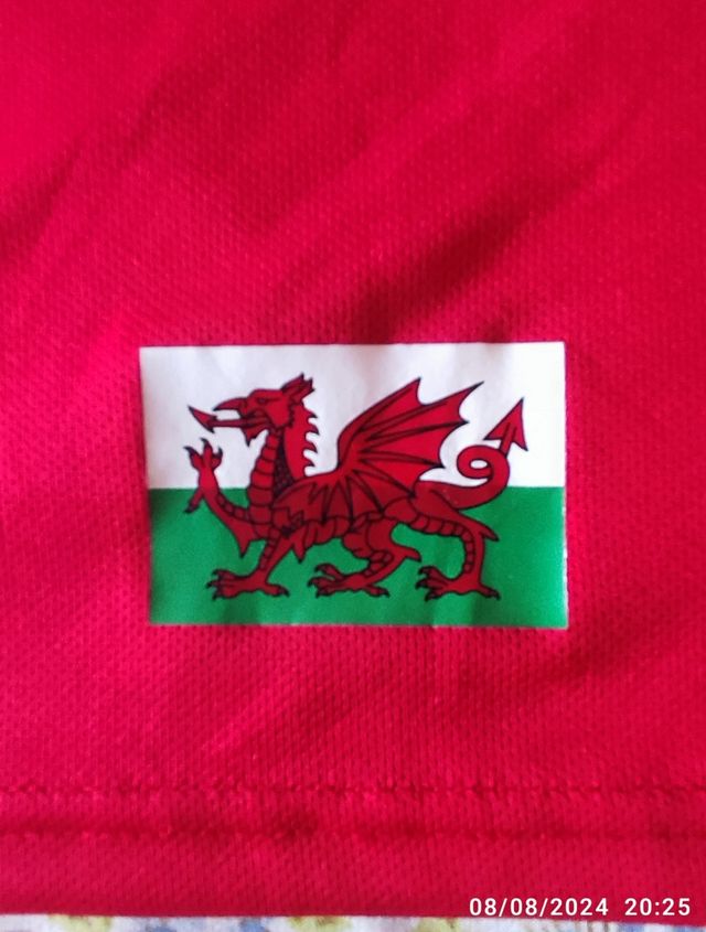 Camiseta Gales Rugby.