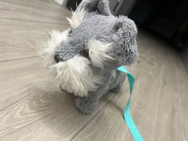 Perrito Tilly el Terrier - Animagic