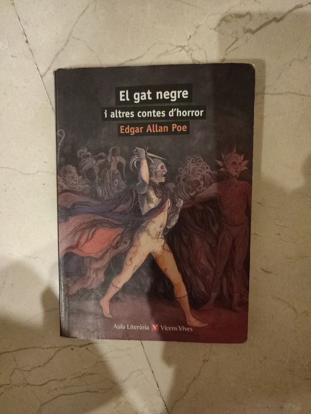 El gat negre i altres contes d'horror