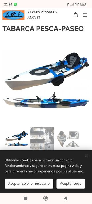 Kayak 