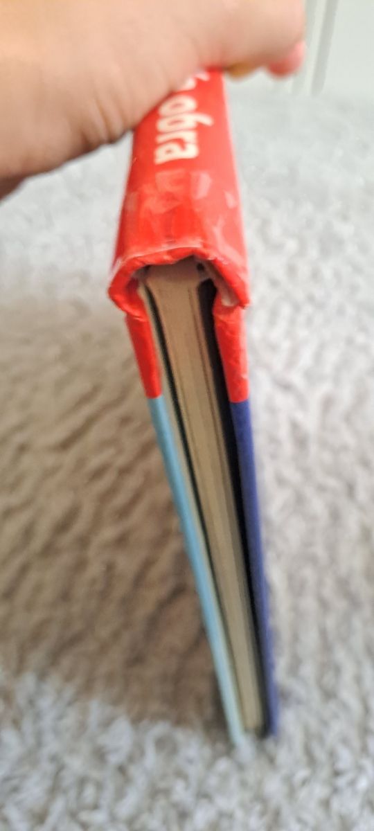 Libro un día en la obra