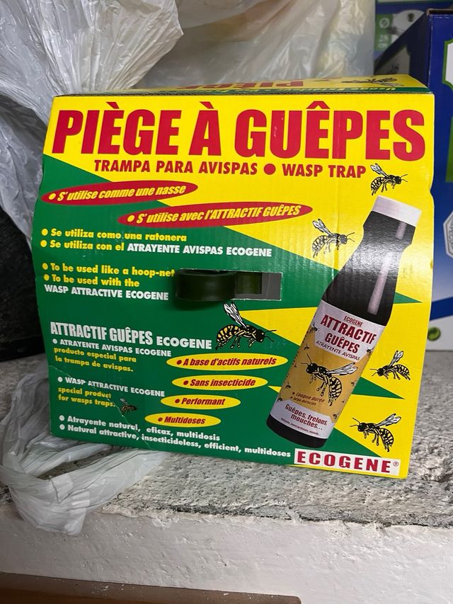 Trampa para avispas