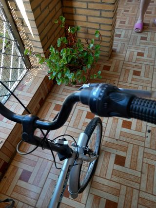 Bicicleta plegable 