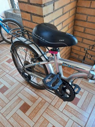 Bicicleta plegable 