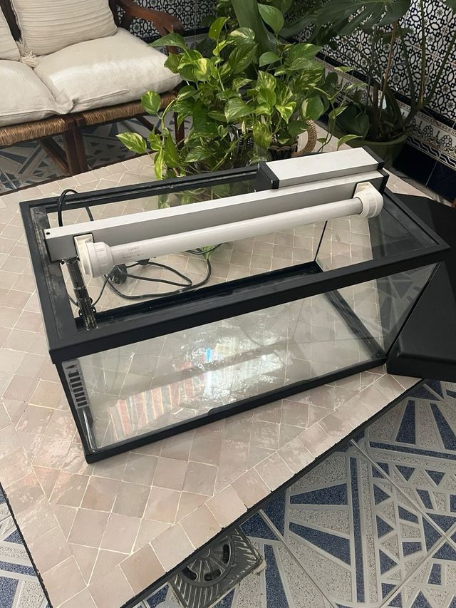 Pecera con calentador 