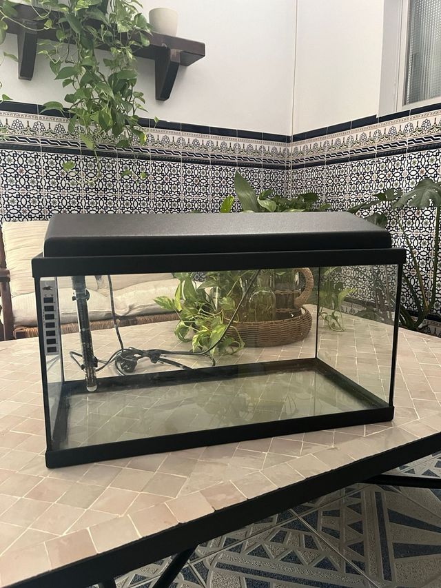 Pecera con calentador 