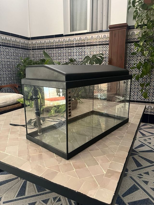 Pecera con calentador 