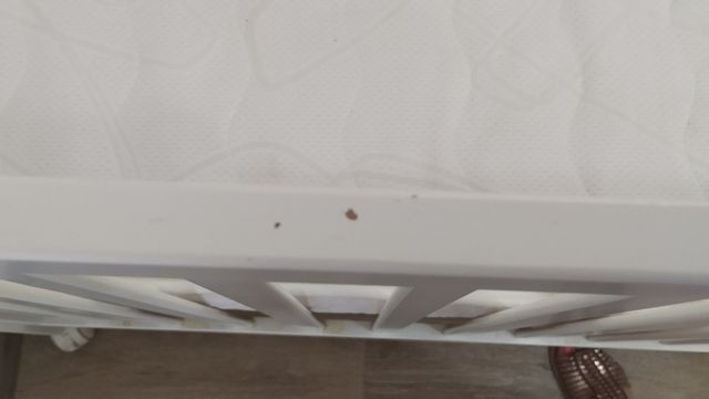 Cuna blanca marca Trama