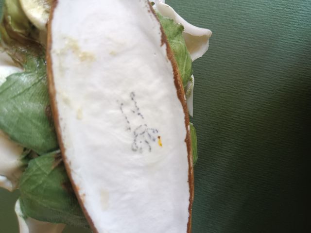 Rose porcellana Capodimonte Vintage