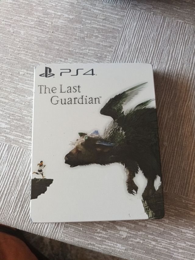 The last guardian