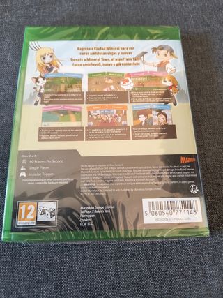 Story of seasons friends of mineral town nuevo
