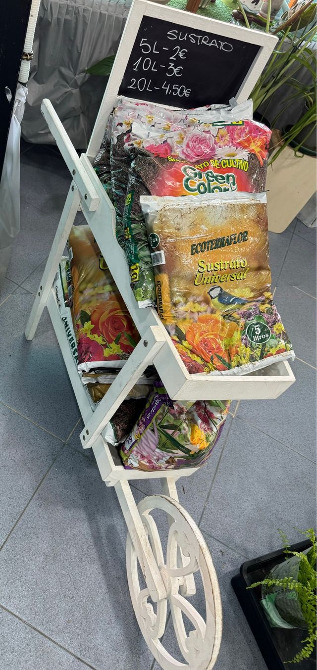 Carretilla deco jardin